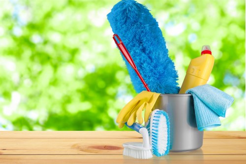 Image representing accessible carpet cleaning in Neasden