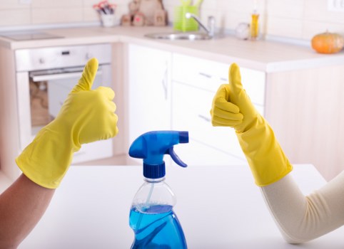 Professional carpet cleaning service introduction in Neasden