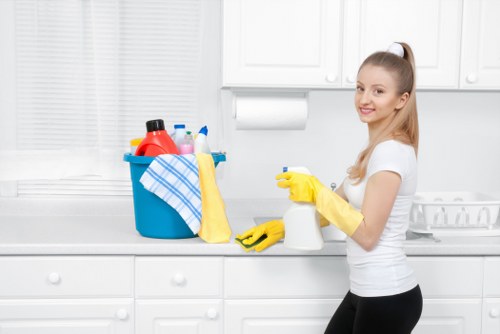 Mattress pet stain odour removal service in a Neasden home