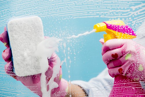 Cleaning pet stains and odours from upholstery in Neasden